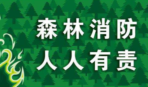 漫畫：關于森林防火   這些知識你應該知道